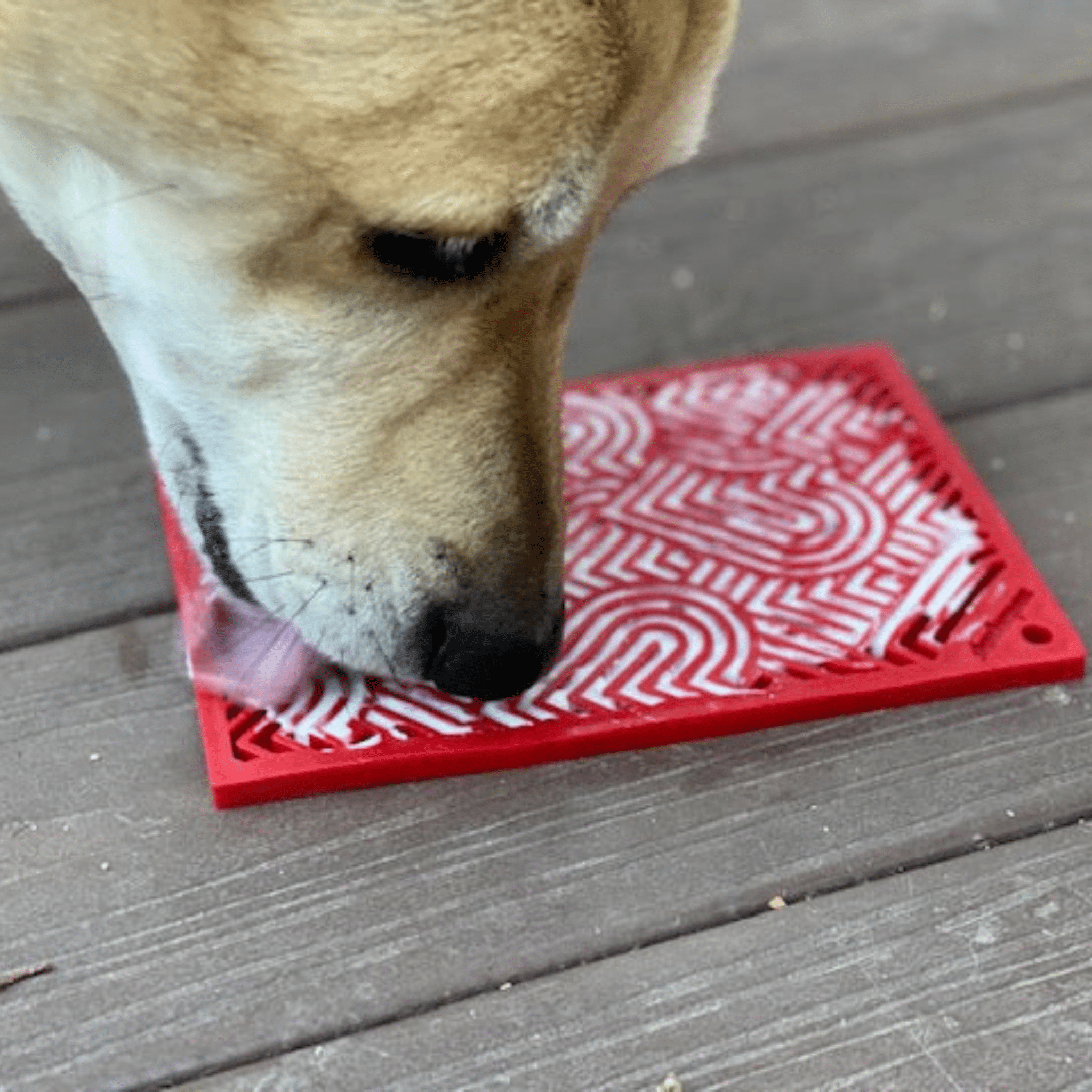 Enrichment Lick Mats - Cat -  (5 Colors/Patterns) - (While Supplies Last)