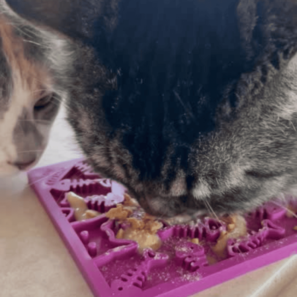 Enrichment Lick Mats - Cat -  (5 Colors/Patterns) - (While Supplies Last)
