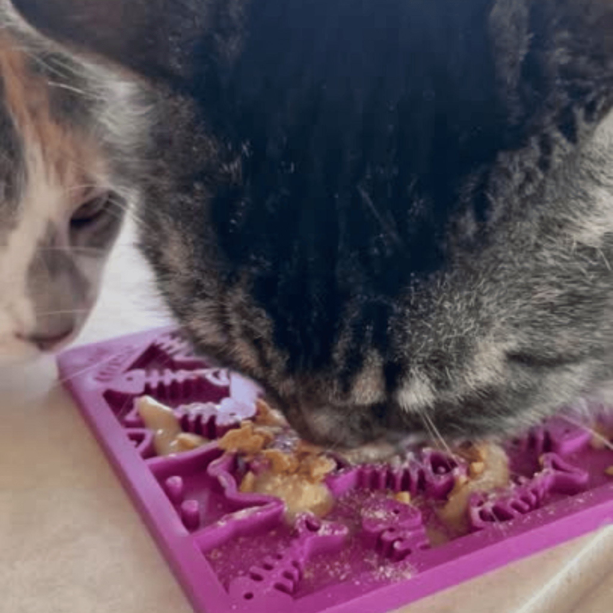 Enrichment Lick Mats - Cat -  (5 Colors/Patterns) - (While Supplies Last)