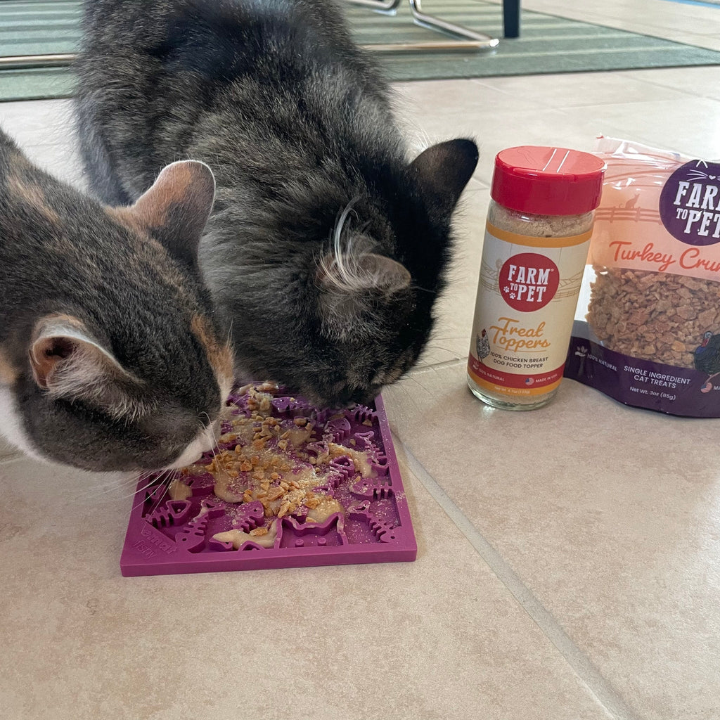 Enrichment Lick Mats - Cat -  (5 Colors/Patterns) - (While Supplies Last)