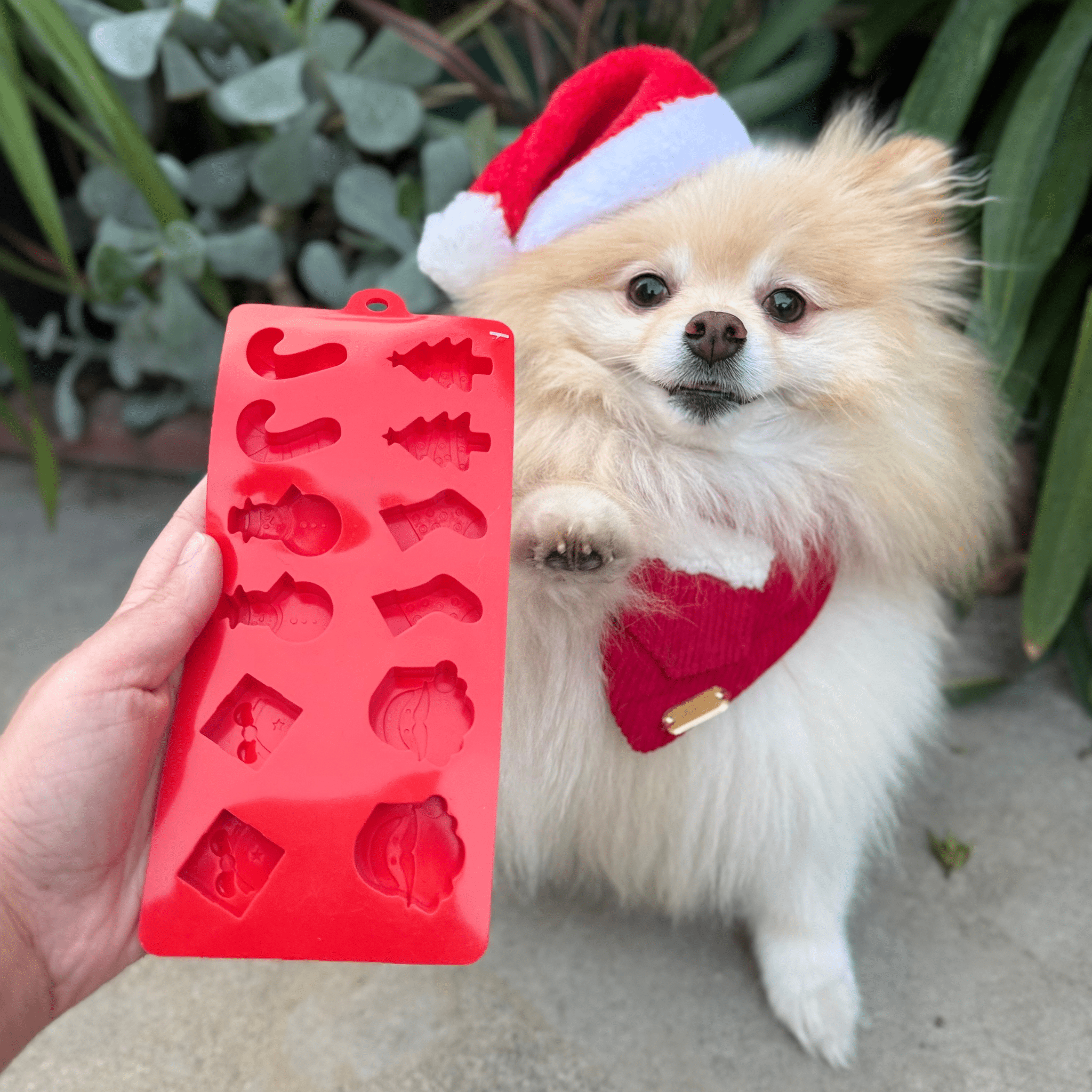 Pet Treat Molds - Dog - (4 Color/Style Options) - (While Supplies Last)