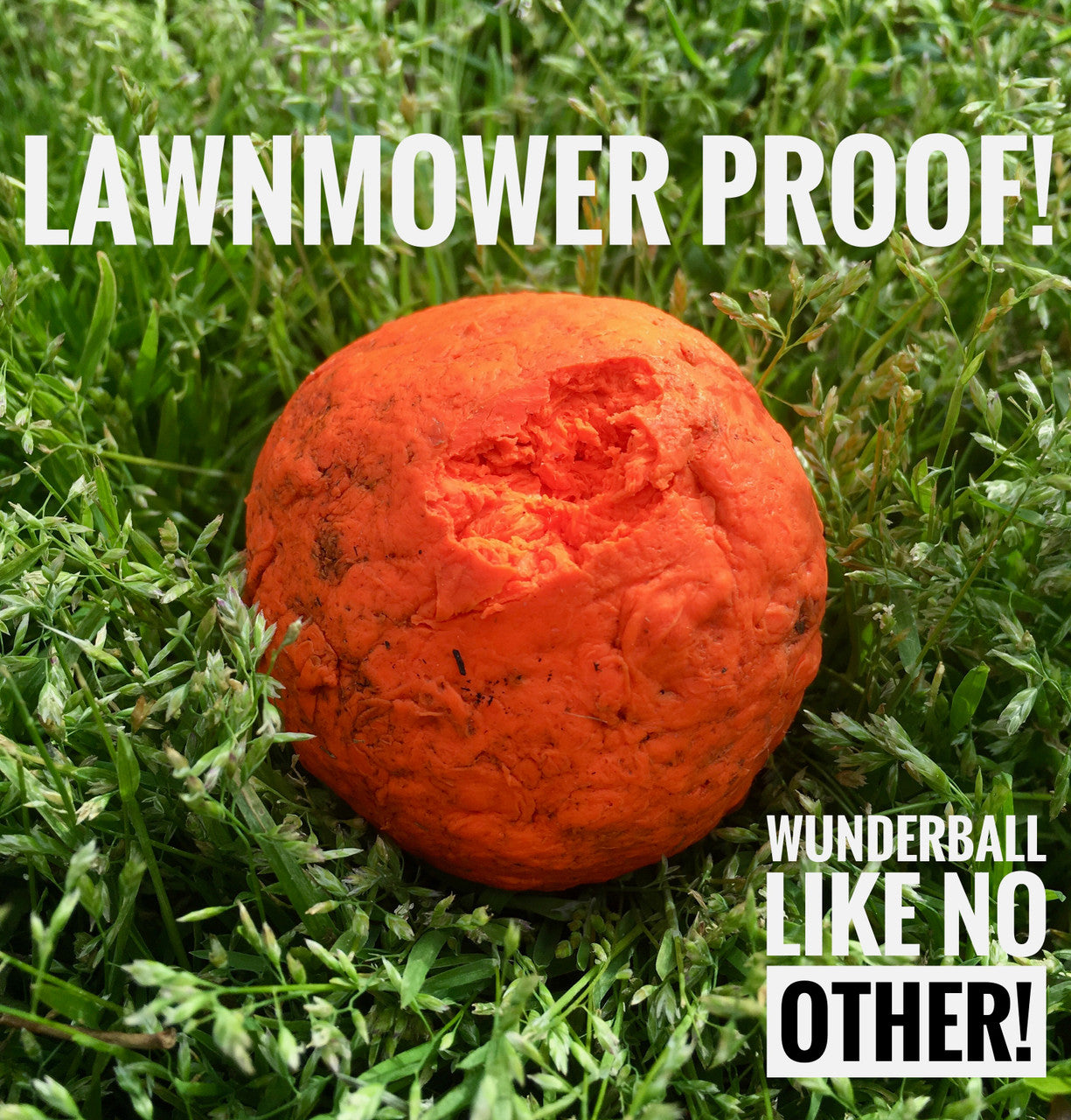Fetch Toy Reinvented - Dog - (WUNDERball) - (5 Color Options) - (S-XL) - (While Supplies Last)