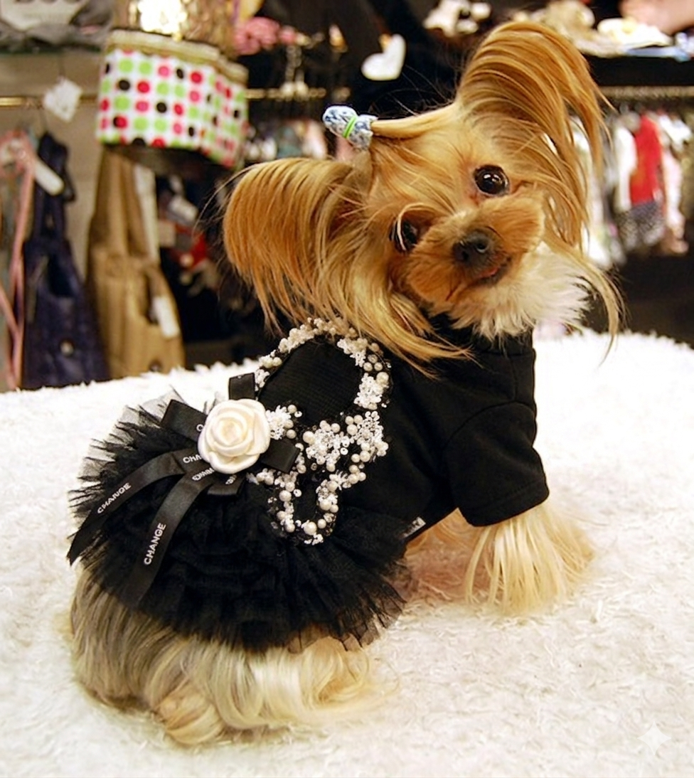 Luxurious and Sophisticated Tutu Dress with Floral Accents -  Dog - (XS-L) - (Black) - (While Supplies Last)