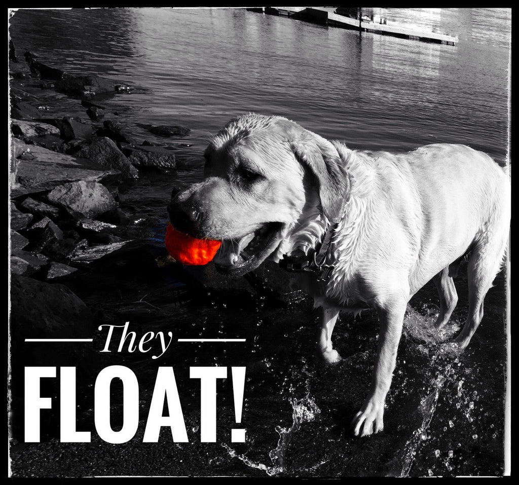 Fetch Toy Reinvented - Dog - (WUNDERball) - (5 Color Options) - (S-XL) - (While Supplies Last)