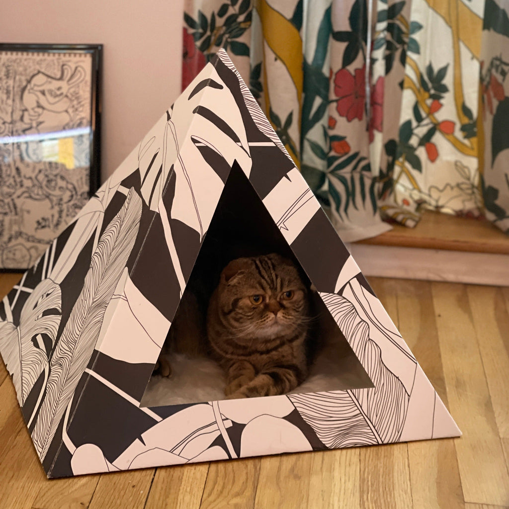 Cozy and 'Dark Paradise' Kardboard Pyramid - Cat