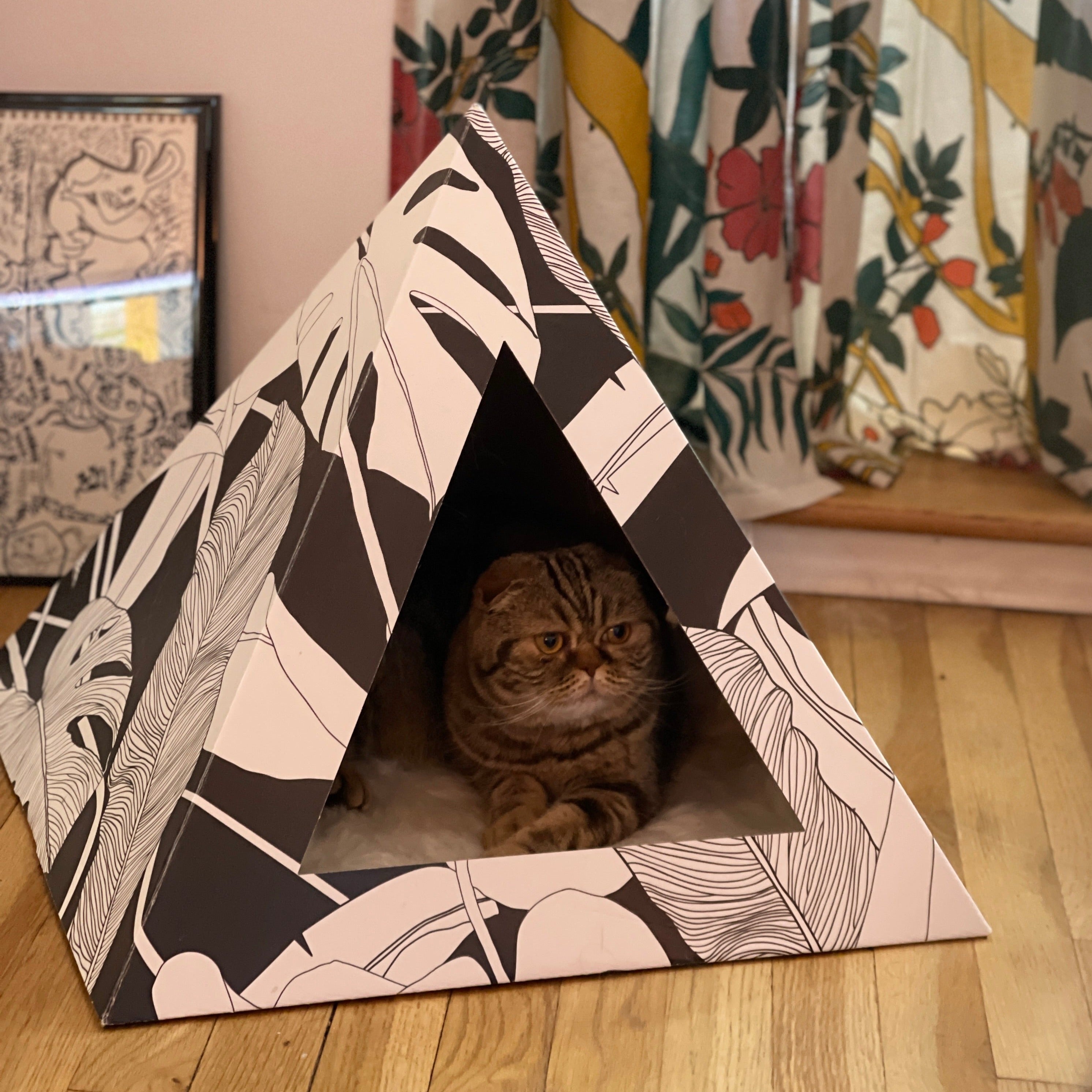 Cozy and 'Dark Paradise' Kardboard Pyramid - Cat