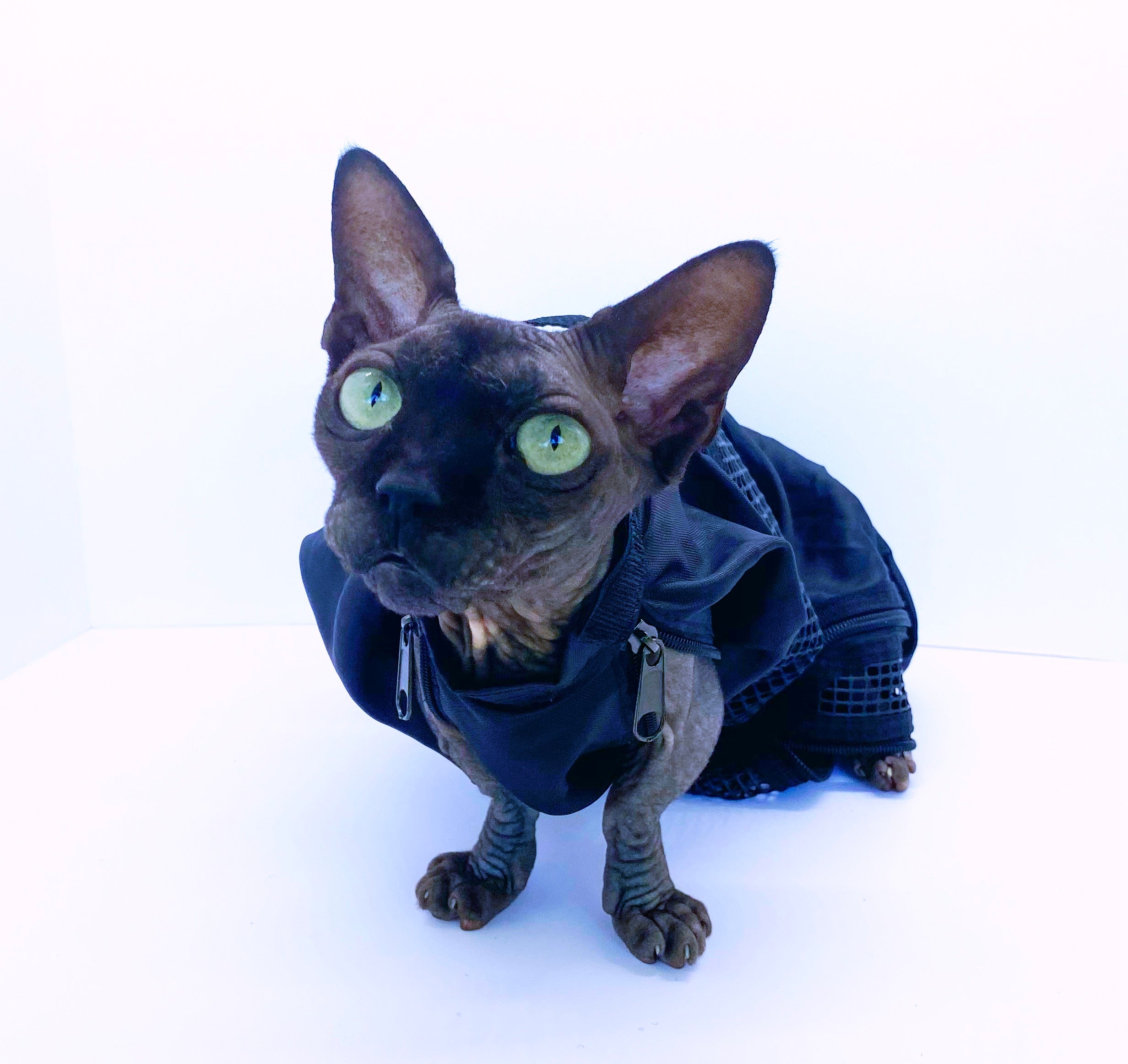 Grooming Bag - Dog Cat - (Top Performance®) - (Guaranteed for Life) - (Multi-functional)