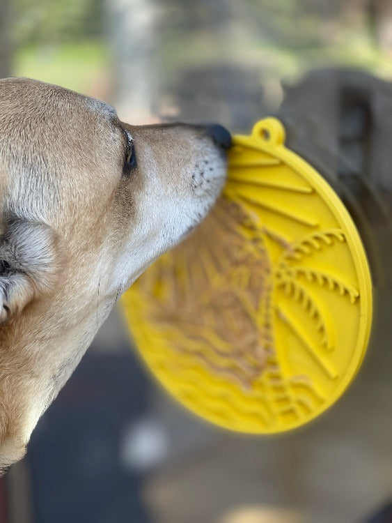 Anxious Dog:  Try this Relief Enrichment Lick Mat (Beach-Themed Design in Blue or Yellow)