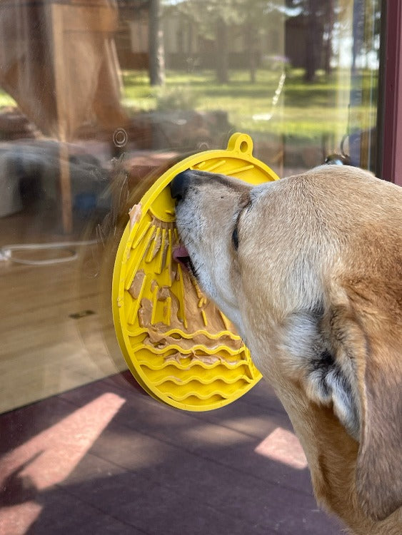 Anxious Dog:  Try this Relief Enrichment Lick Mat (Beach-Themed Design in Blue or Yellow)