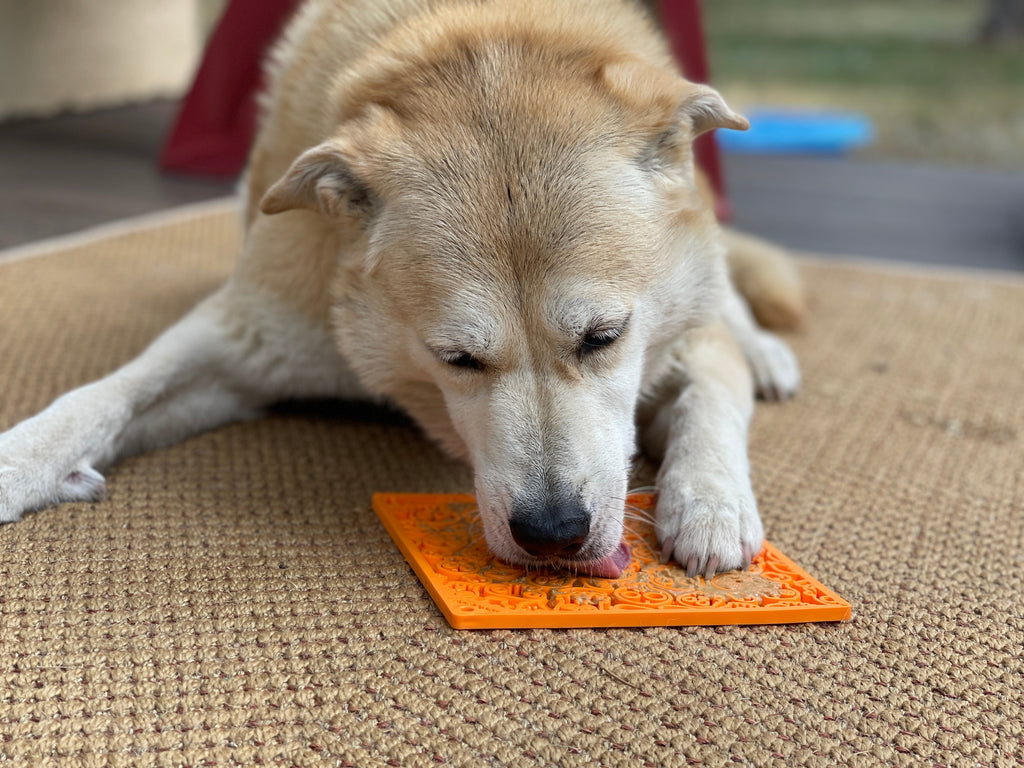 Anxious Dog: Try this Relief Enrichment Halloween Lick Mat (Orange or Black)