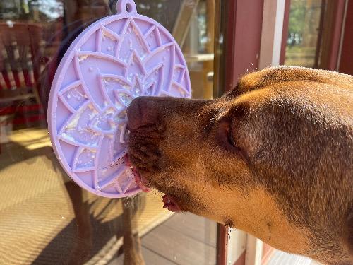 Anxious Dog: Try this Relief Enrichment Lick Mat (Lotus Design) (Pastels: Purple, Green, Pink, & Yellow)