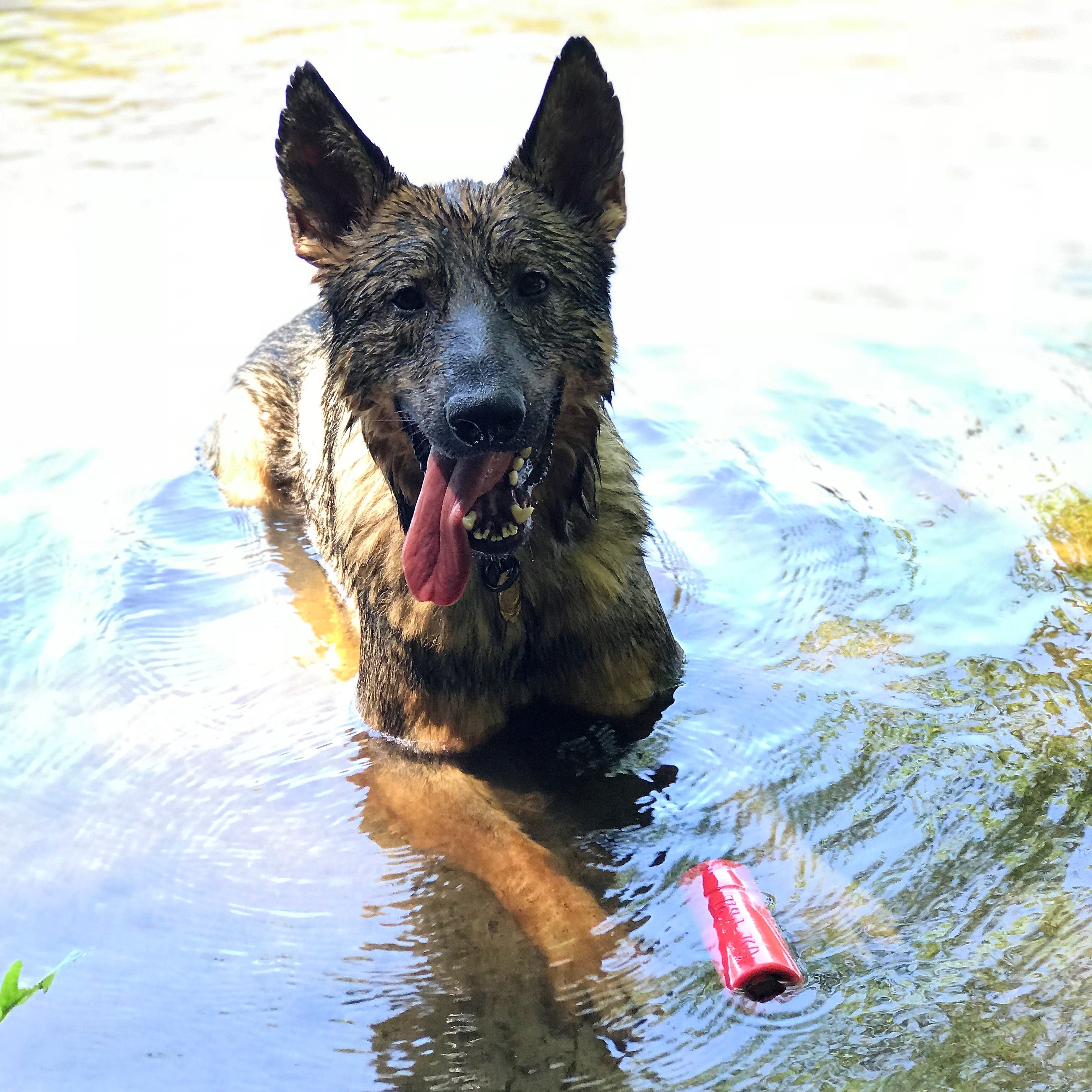 K9 Firecracker Floating Training Dummy Toy - Large Dog - (Reward Chew Toy) - (Rubber) - (Red) - (USA)