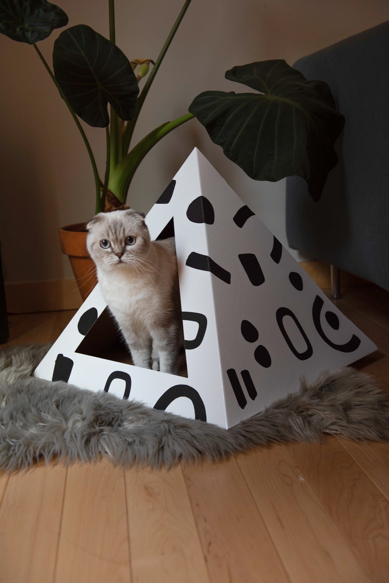 Cozy and Dark 'Doodle' Kardboard Pyramid - Cat