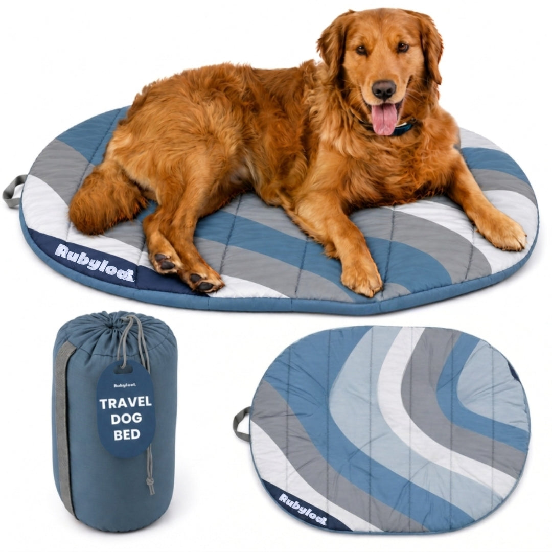 Travel Dog Bed - Foldable & Packable for Travel, Road Trip, Camping