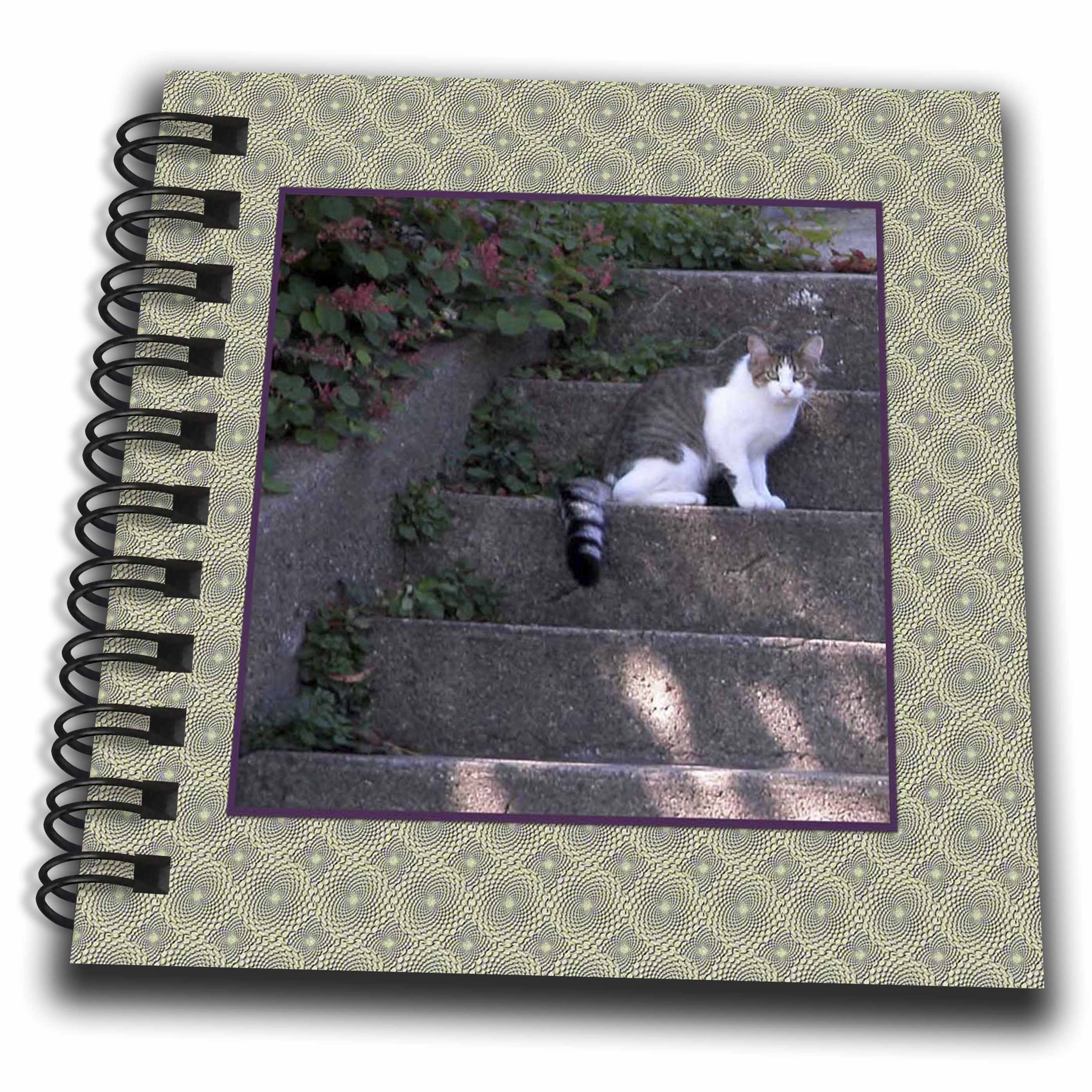 3D Rose Photo of Tabby Cat on Cement Steps - Drawing Books - (While Supplies Last)