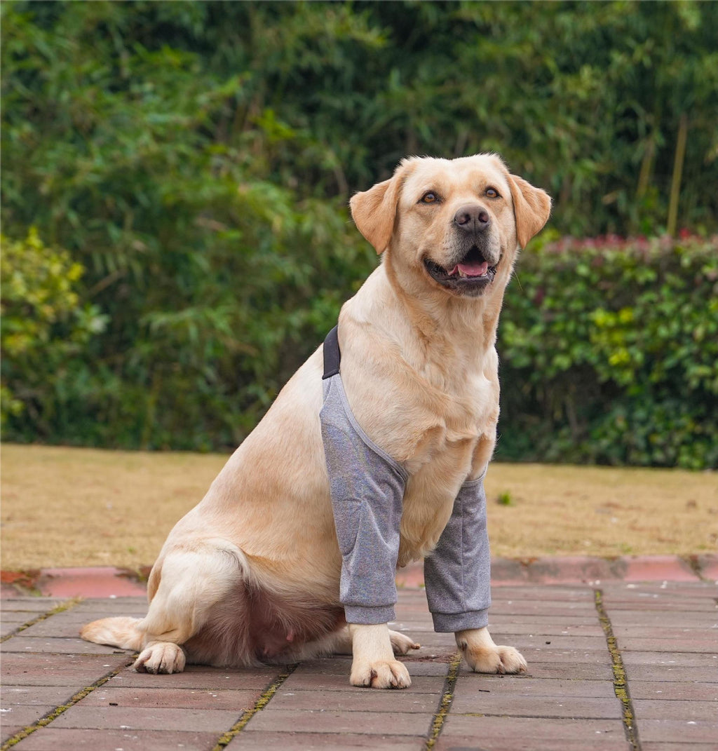 Post-Surgery Recovery Elbow Protector Sleeves - Dog (3 Color Options) (L-3XL) - (While Supplies Last)