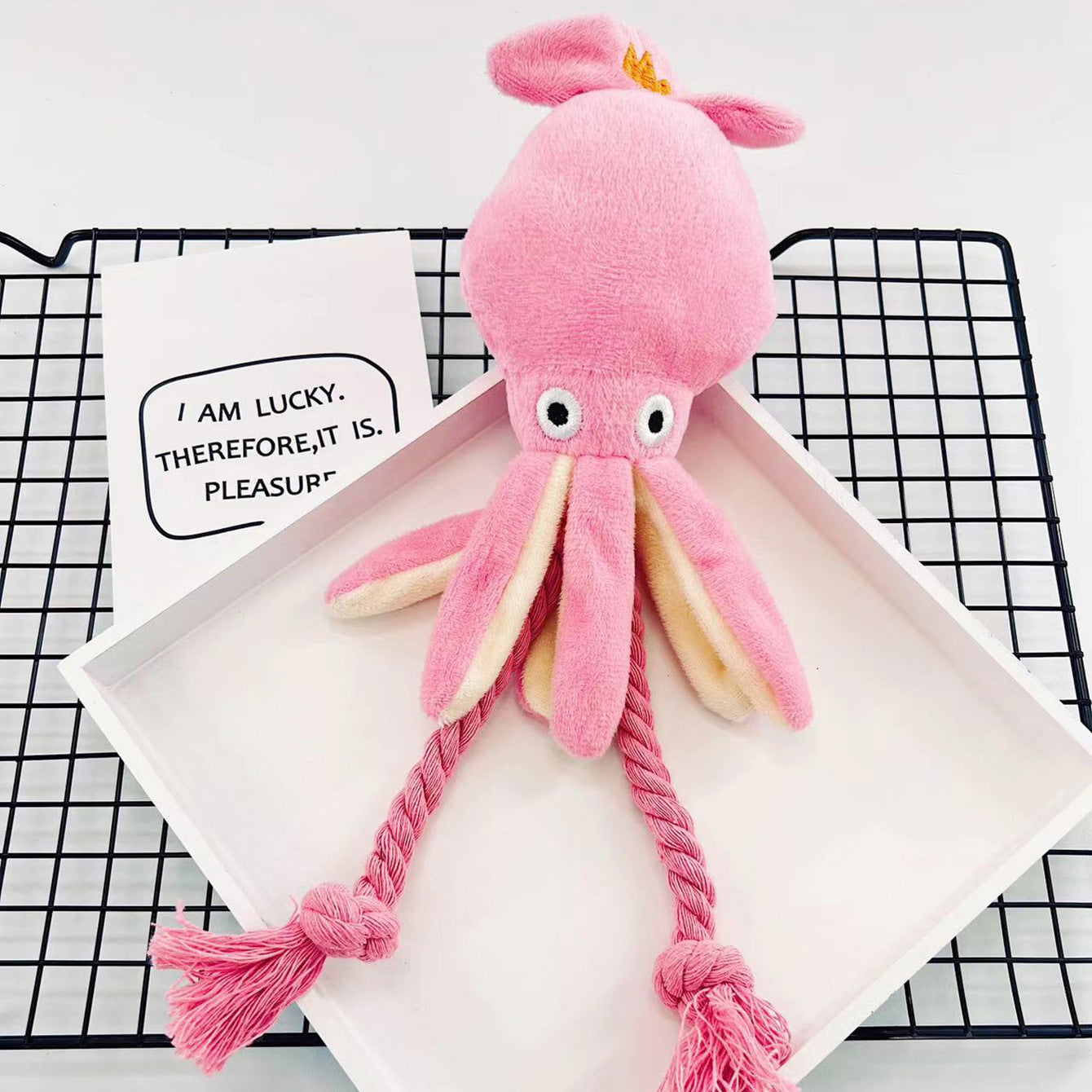 Cute Plush Chew Dog Rope Toys