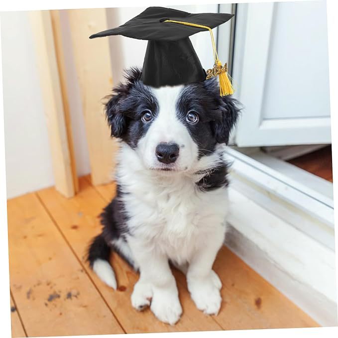Adjustable Graduation Cap with Gold Tassel - Sm Dog Cat  (While Supplies Last)