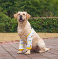 Post-Surgery Recovery Elbow Protector Sleeves - Dog (3 Color Options) (L-3XL) - (While Supplies Last)