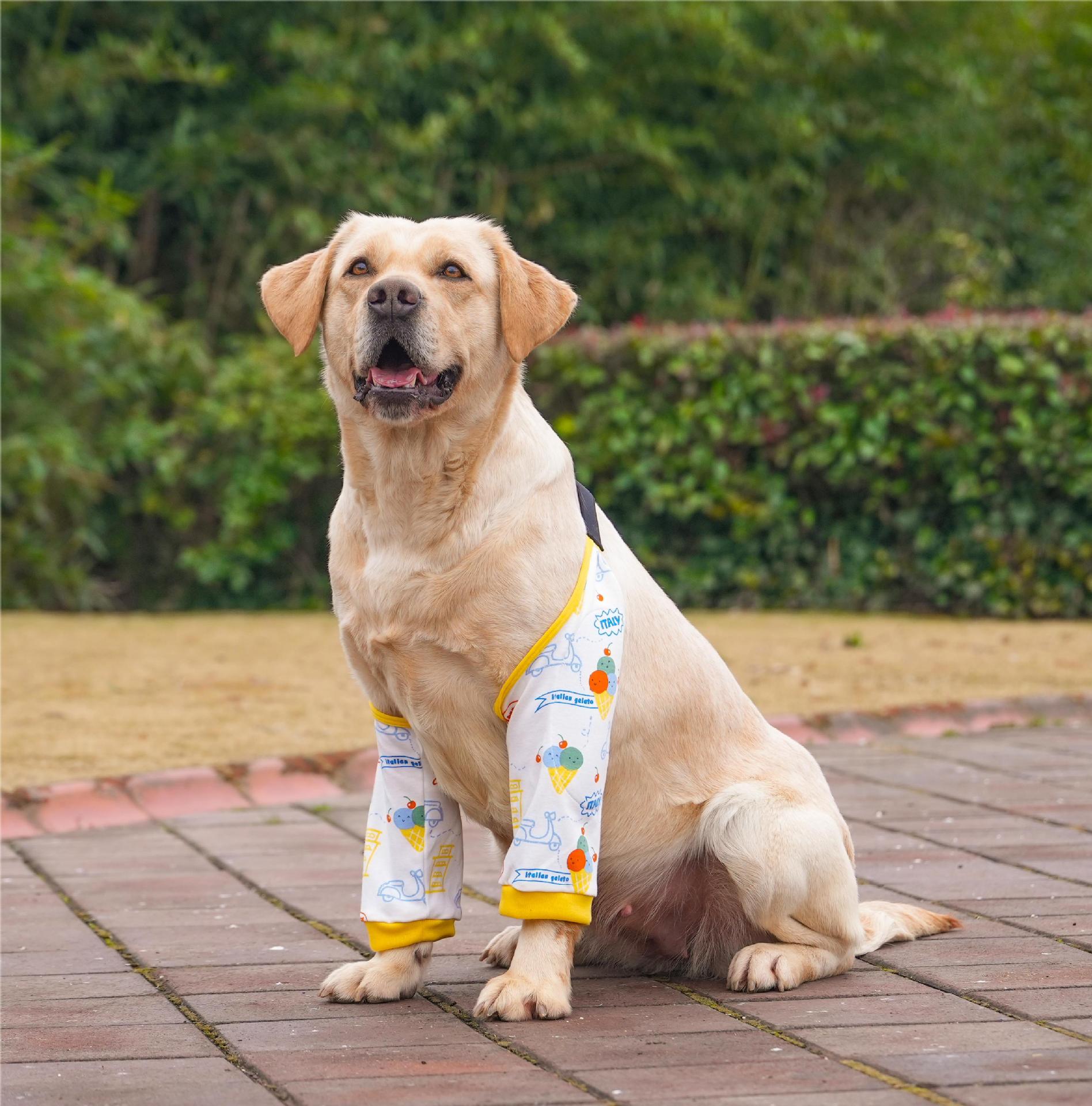Post-Surgery Recovery Elbow Protector Sleeves - Dog (3 Color Options) (L-3XL) - (While Supplies Last)