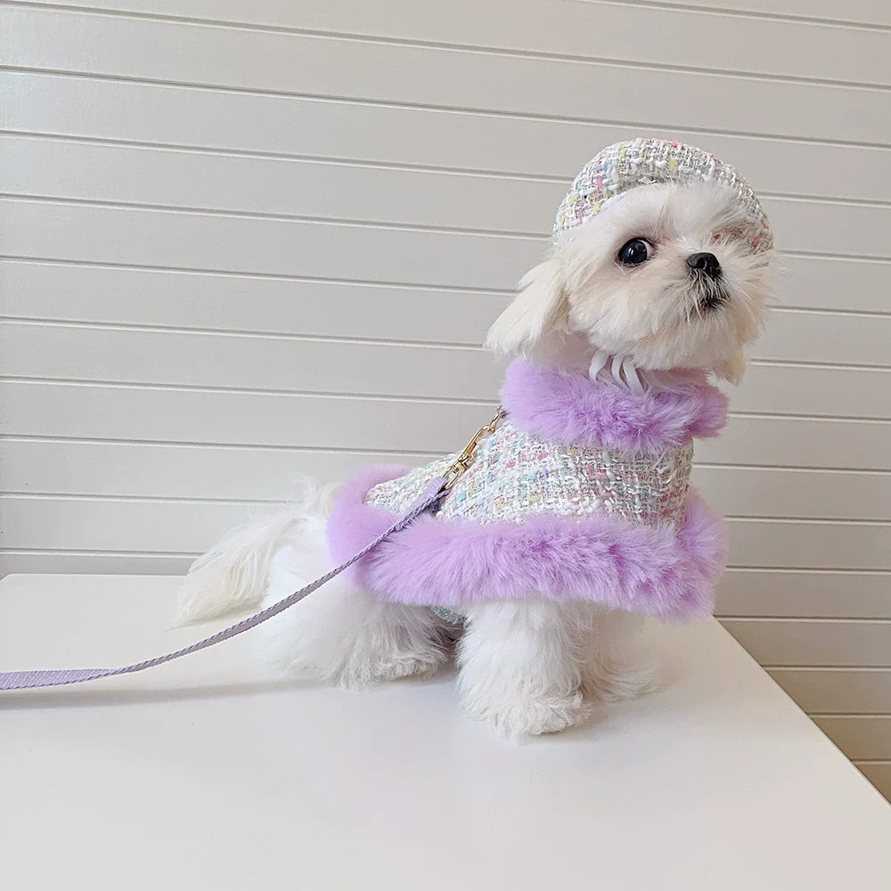 Cape with a Knitted Hat, and Leash Set - Dog (Purple) - (XS-XL) - (While Supplies Last)