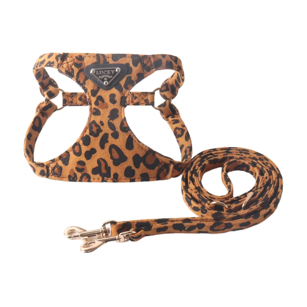 Adjustable Luxury Leopard Print Harness and Leash Set - (XXS-M) - Dog -  (While Supplies Last)
