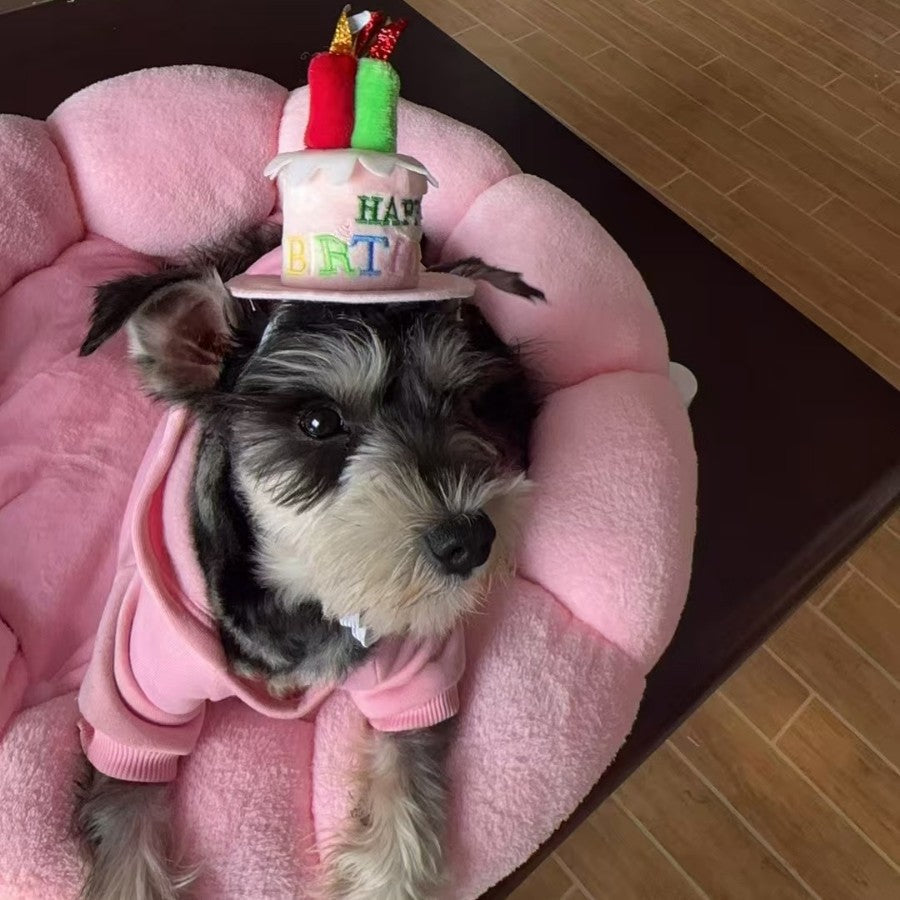 Birthday Cake Top Hat - ( One Size Blue or Pink)  - Dog Cat  (While Supplies Last)