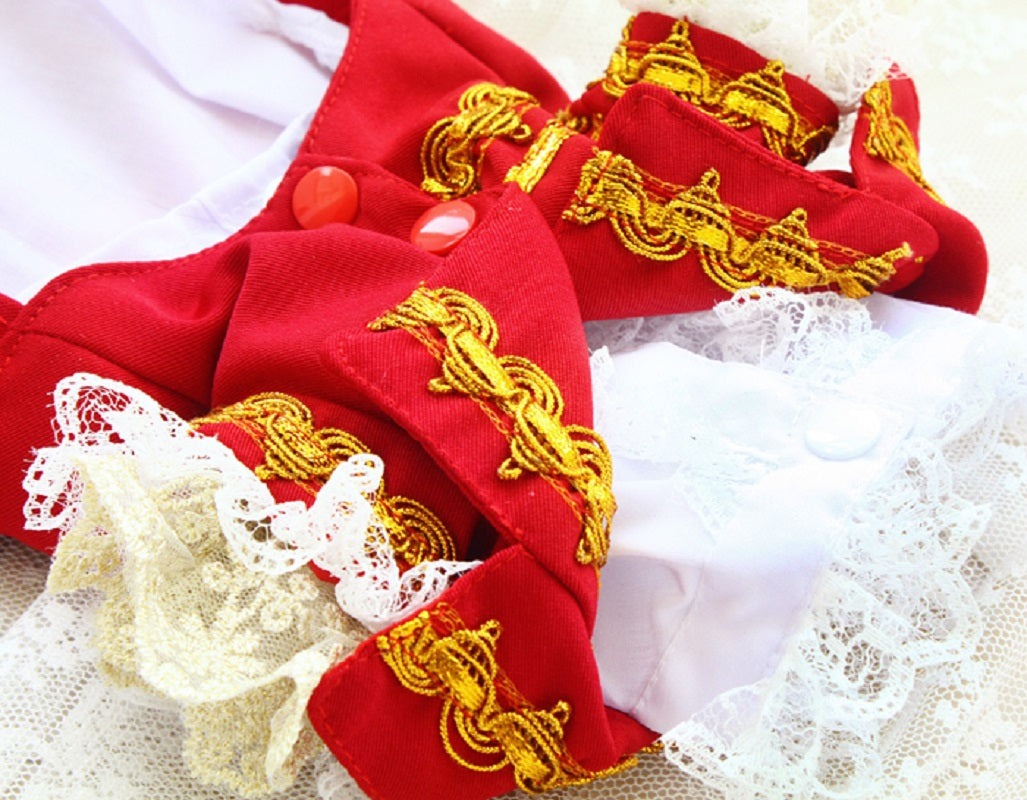 Luxury Tailcoat Shirt with Lace and Gold Detailing - Dog Cat - (XS-XXL) and Customizable - (Red) - (While Supplies Last)