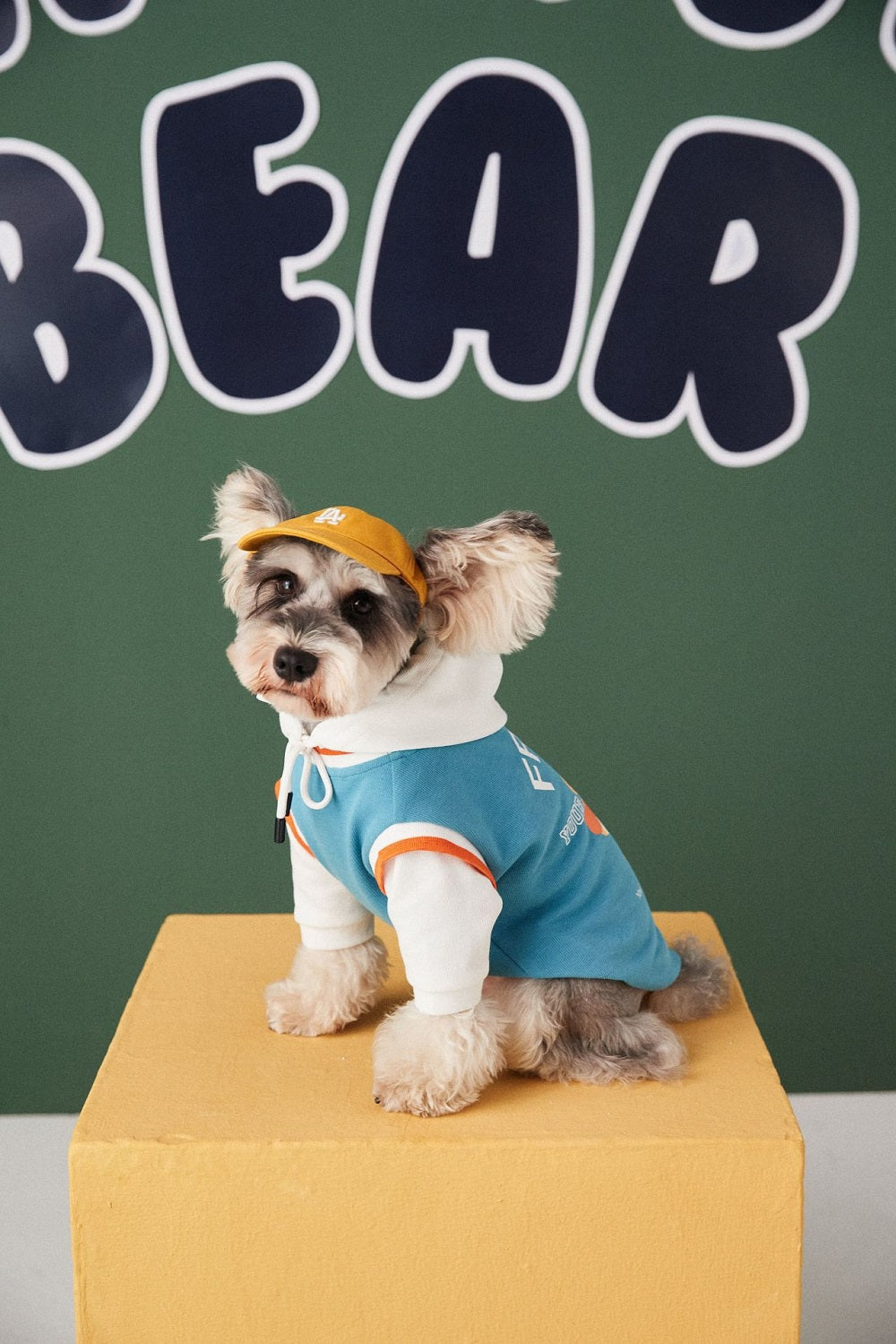 Cozy and Stylish Buddy Bear Hoodie - Dog (Black, Blue) - (S-XL) - While Supplies Last