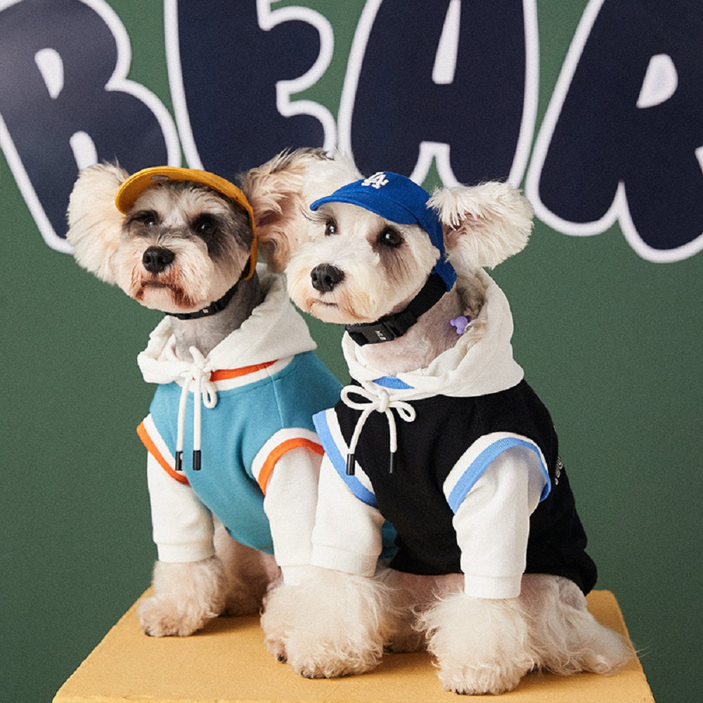 Cozy and Stylish Buddy Bear Hoodie - Dog (Black, Blue) - (S-XL) - While Supplies Last