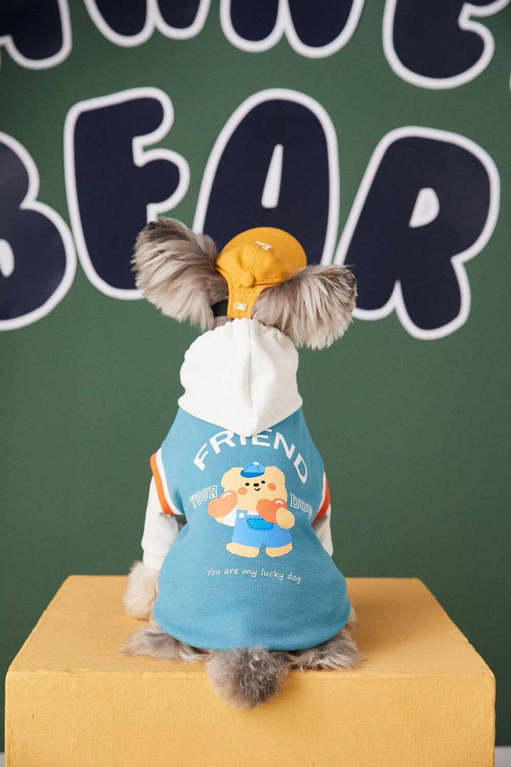 Cozy and Stylish Buddy Bear Hoodie - Dog (Black, Blue) - (S-XL) - While Supplies Last