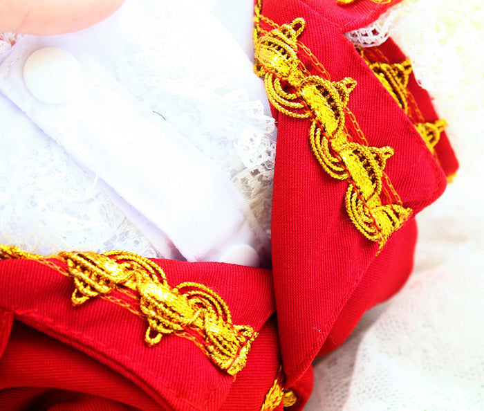 Luxury Tailcoat Shirt with Lace and Gold Detailing - Dog Cat - (XS-XXL) and Customizable - (Red) - (While Supplies Last)