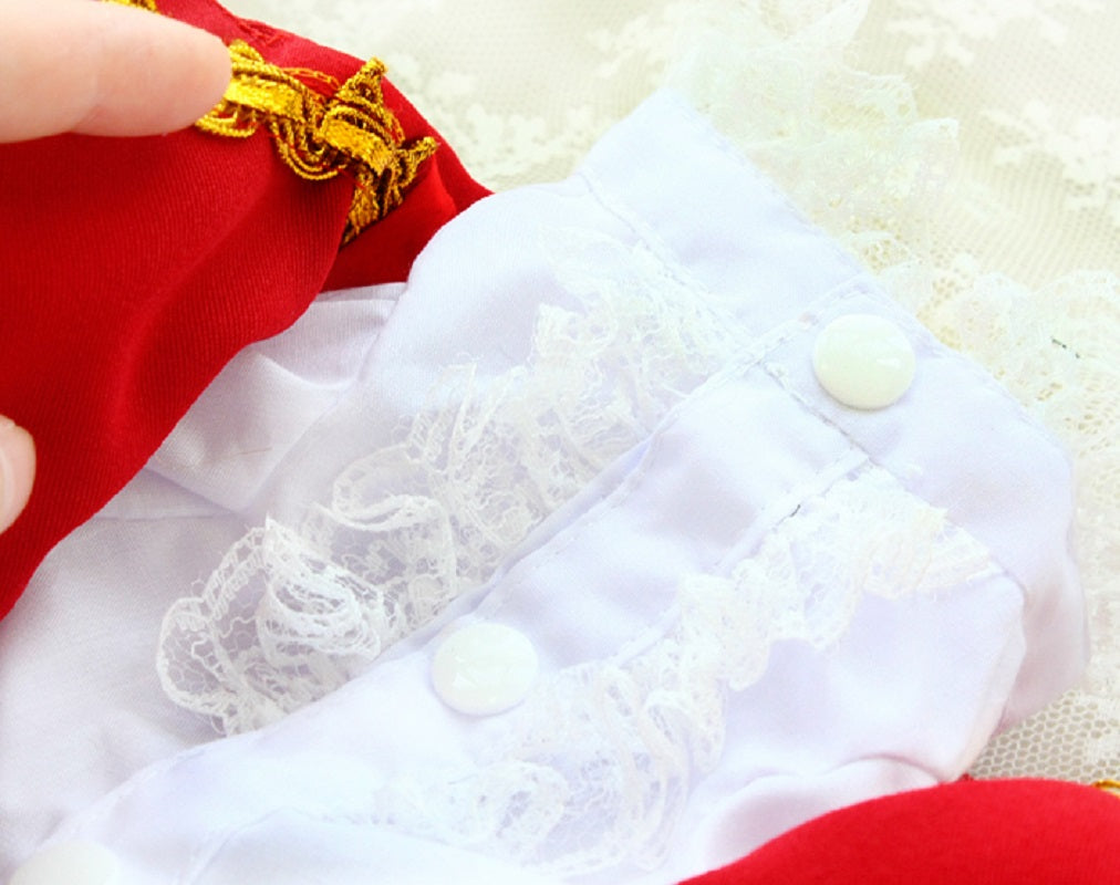 Luxury Tailcoat Shirt with Lace and Gold Detailing - Dog Cat - (XS-XXL) and Customizable - (Red) - (While Supplies Last)