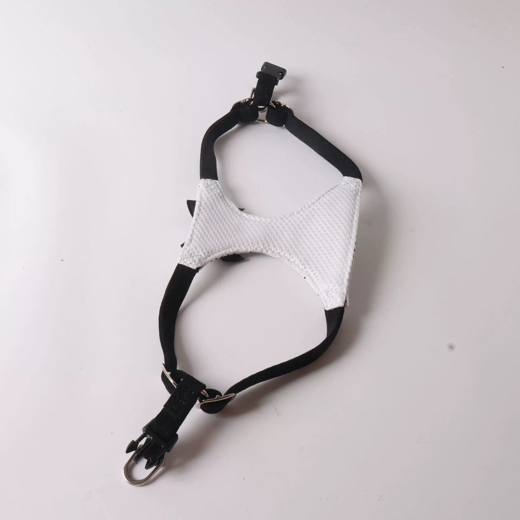 Elegant and adjustable Polka Dot Bow Harness and Leash Set - (Black, White) -(XXS-M) -  Dog  - (While Supplies Last)