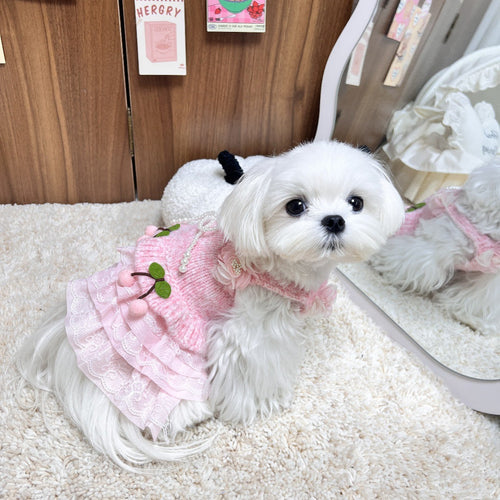 Adorable Sweater and Tulle Dress - Dog - (Cherry Pink) - (XS-XL) - (While Supplies Last)