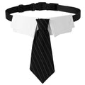 Classy Tuxedo Black & White Striped Tie Collar (Sm-Lg) - Dog