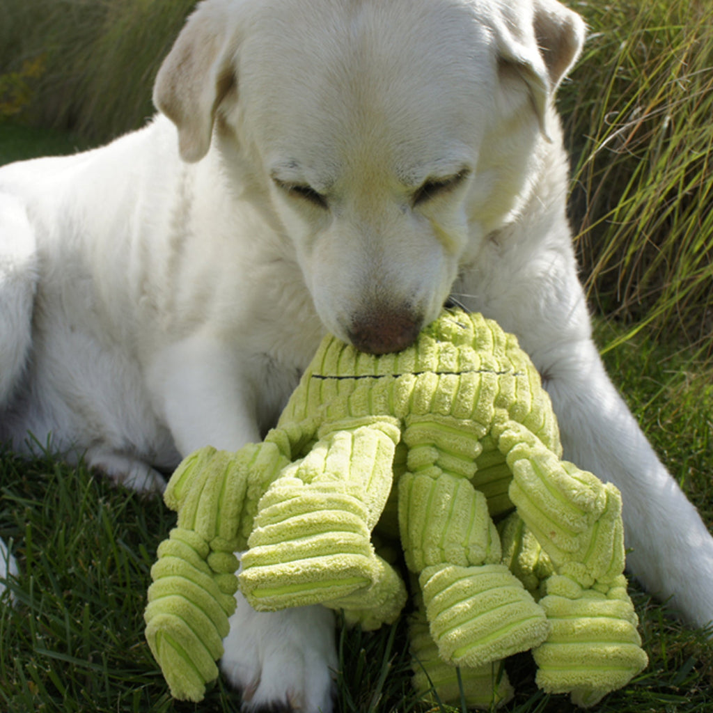Plush Toy - Dog - (Octo Green, Sea Blue) -  (S, L) - (While Supplies Last)