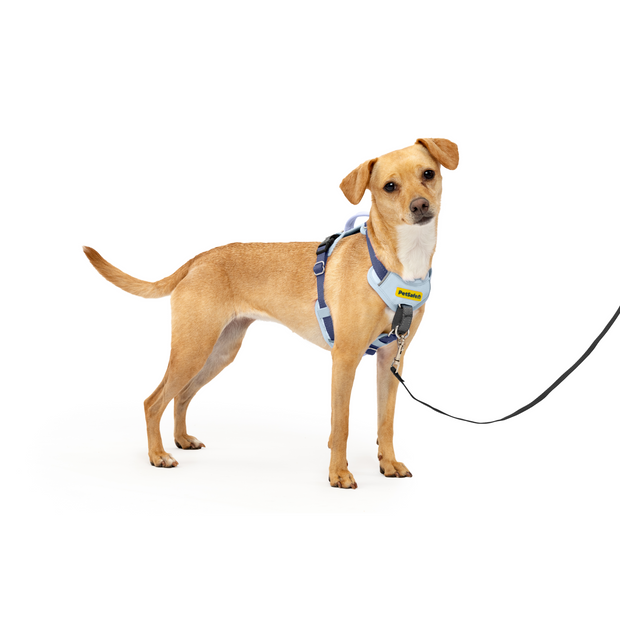 Easy Walk® Comfort Harness - Dog - (Blue) - (S,M,L) - (PetSafe) - (While Supplies Last)