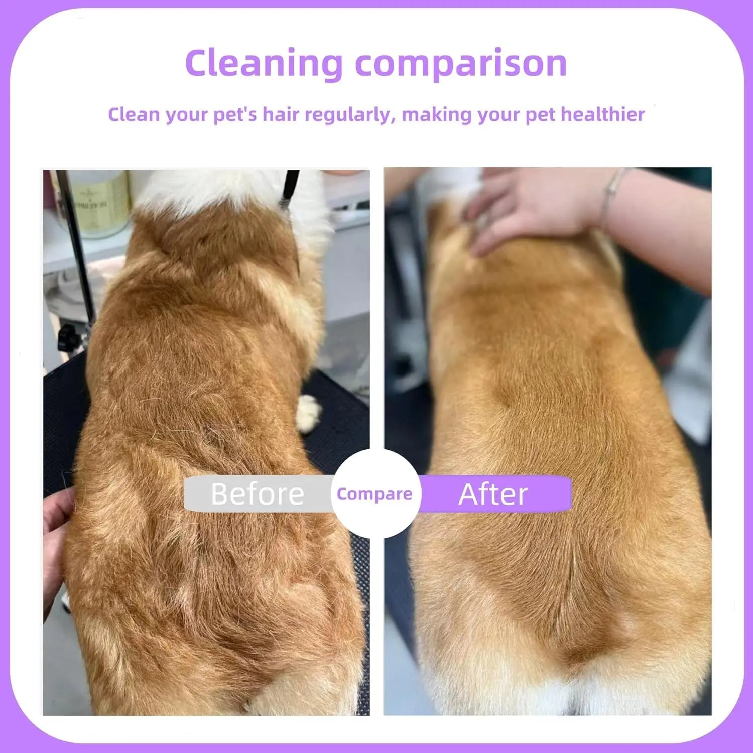 Flea Comb - Dog Cat - (Professional) - (Detangling) - (4 Comb Options)- (While Supplies Last)