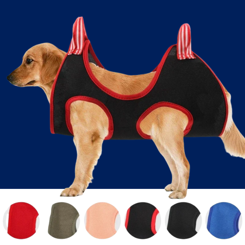 Grooming Hammock - Dog Cat - (Home Use) - (Premium Restraint Sling) - (6 Color/Set Options) - (While Supplies Last)