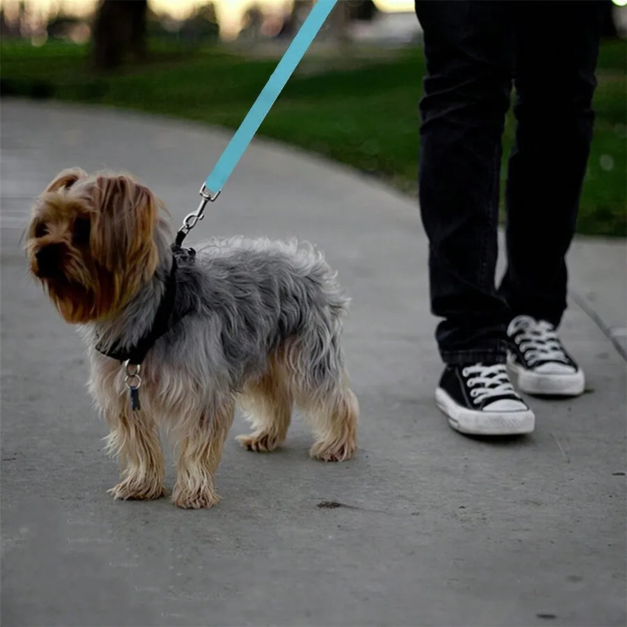 Secure and Safe Backseat Leash - (Blue) - Dog Cat