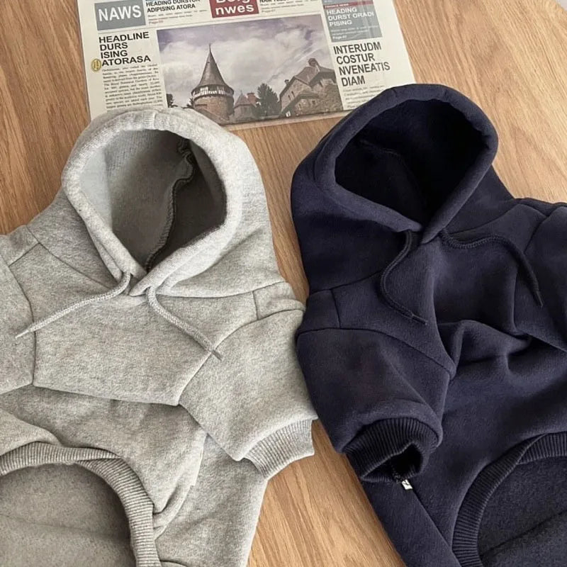 Fashionable Dog Hoodie