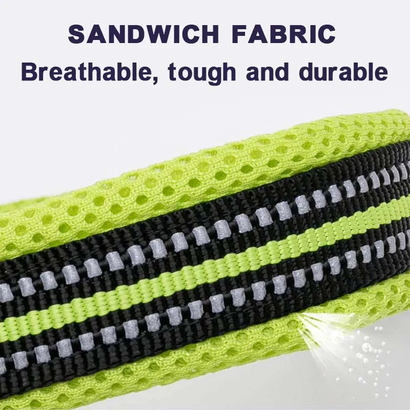 Durable Padded Collar - (Grassgreen) - Dog (While Supplies Last)