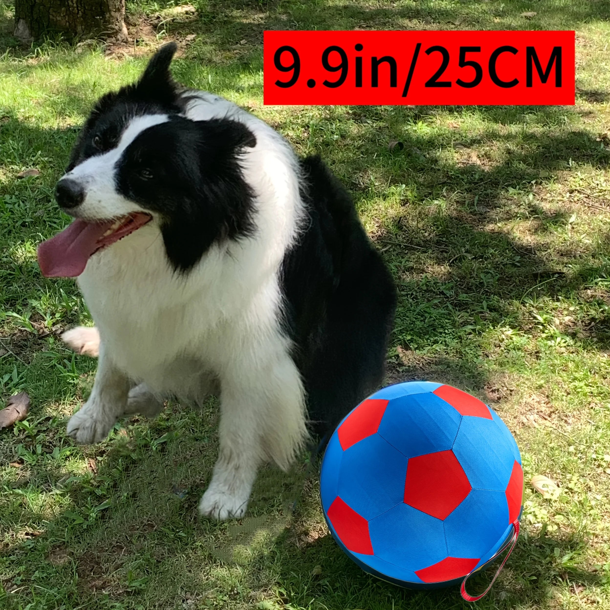 Giant Explosion Proof Grazing Ball with Cover