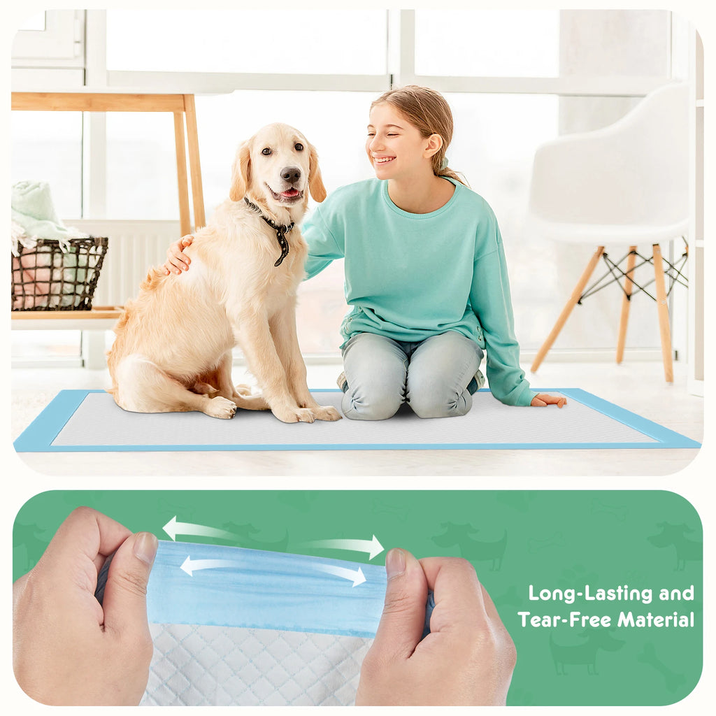 Leak Proof Disposable and Super Absorbent Training Pee Pads - Dog