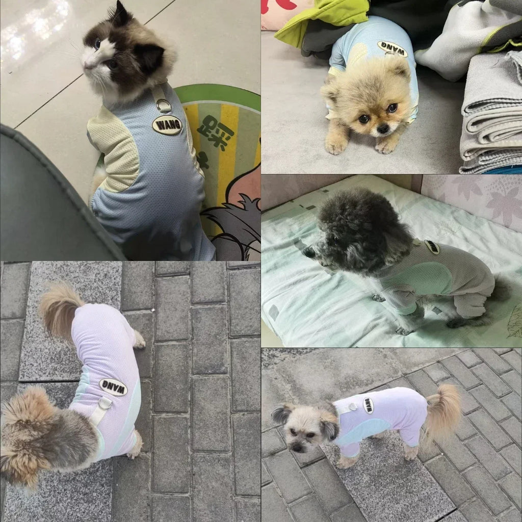 Cooling Summer Mesh Vest - Dog - (5 Color Options) - (XS-4XL) -