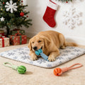 Durable Braided Pet Rope and Ball Chew Toy & Treat Dispenser