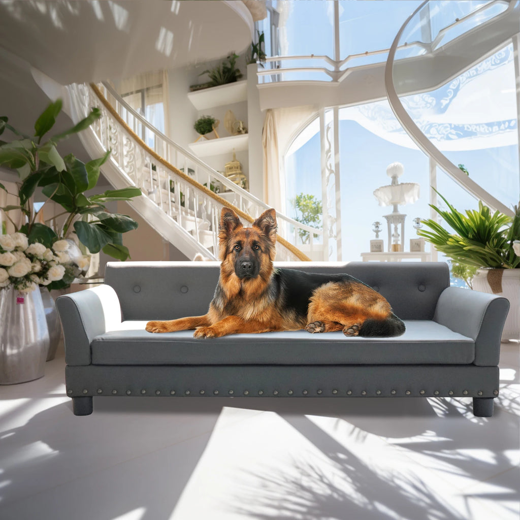 Elevated Comfortable Rectangle Couch - Dog
