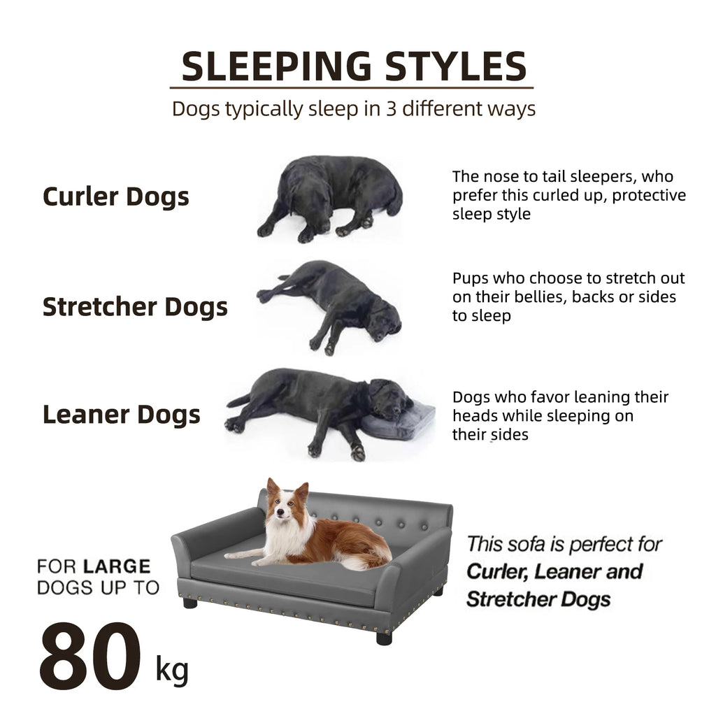 Elevated Sofa Bed with Leather Cover - Dog