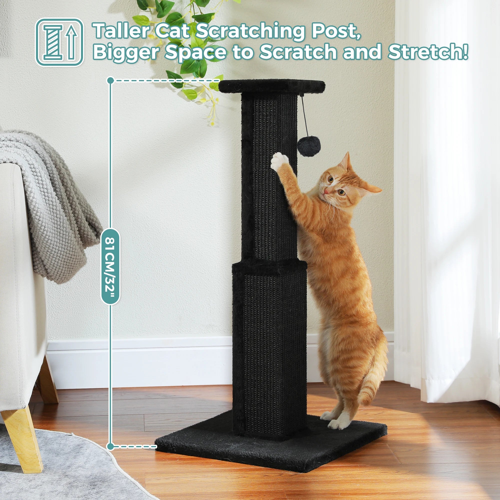 Large Cat Ultimate Scratching Post and Dangling Ball